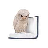 Boekensteun - Uil Oehoe | Fantastic Gifts