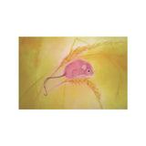 Kaart - Dwergmuisje | Fantastic Gifts