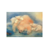 Kaart - Ijsberen | Fantastic Gifts Shop