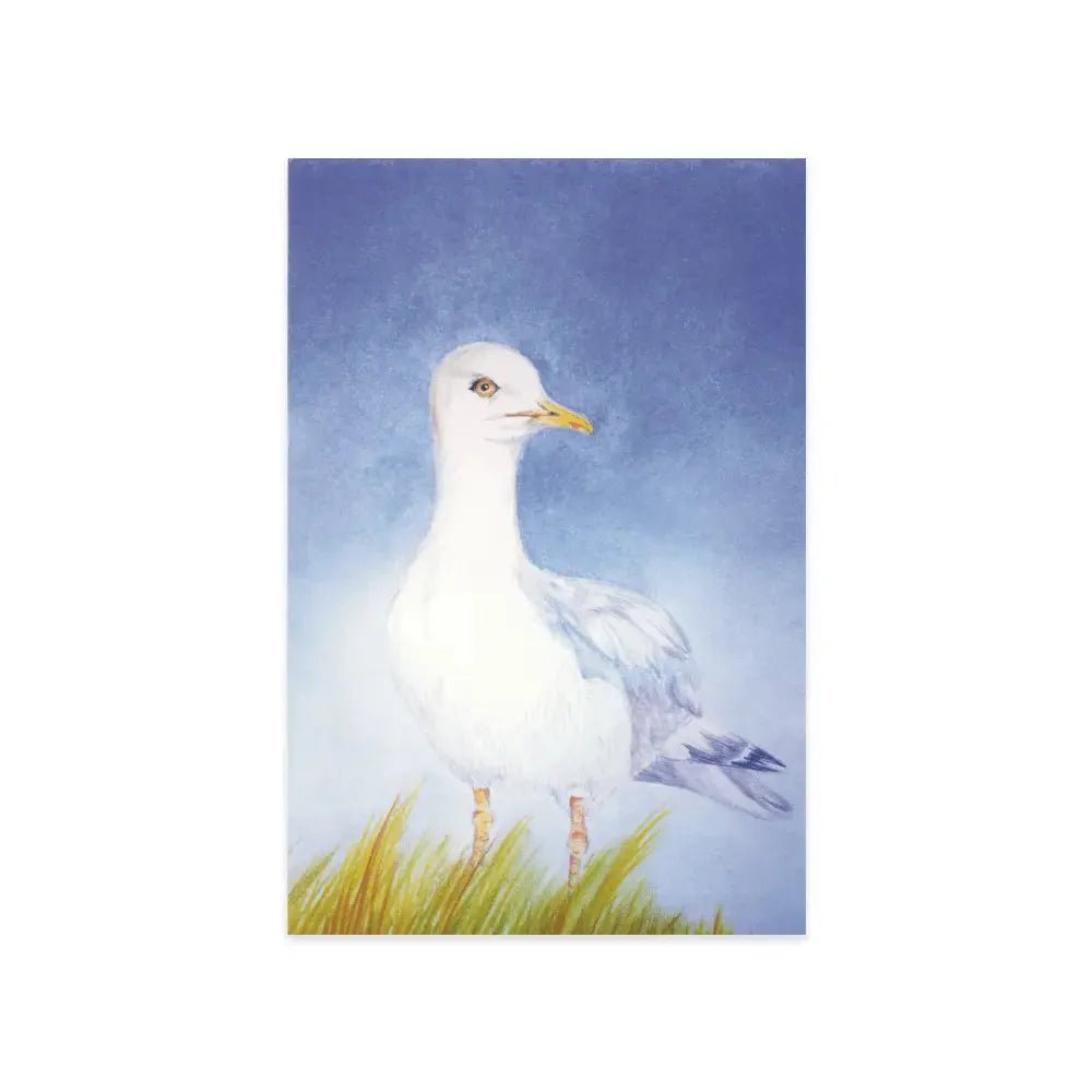 Kaart - Meeuw | Fantastic Gifts