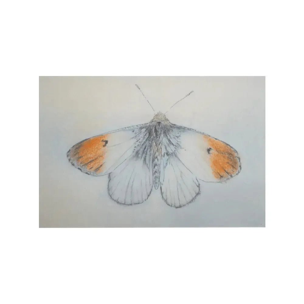 Kaart - Oranjetipje | Fantastic Gifts