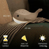 Nachtlampje Willy Whale | Fantastic Gifts Shop