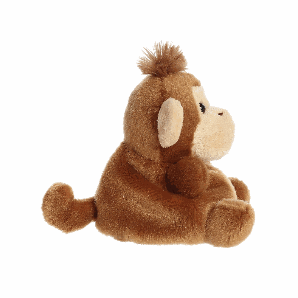 Palm Pals - Aap | Fantastic Gifts | Fantastic Gifts Shop