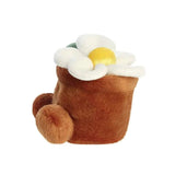 Palm Pals - Madeliefje | Fantastic Gifts Shop