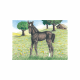 Blokpuzzel - Boerderijdieren | Fantastic Gifts Shop