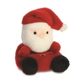 Palm Pals - Kerstman | Fantastic Gifts Shop