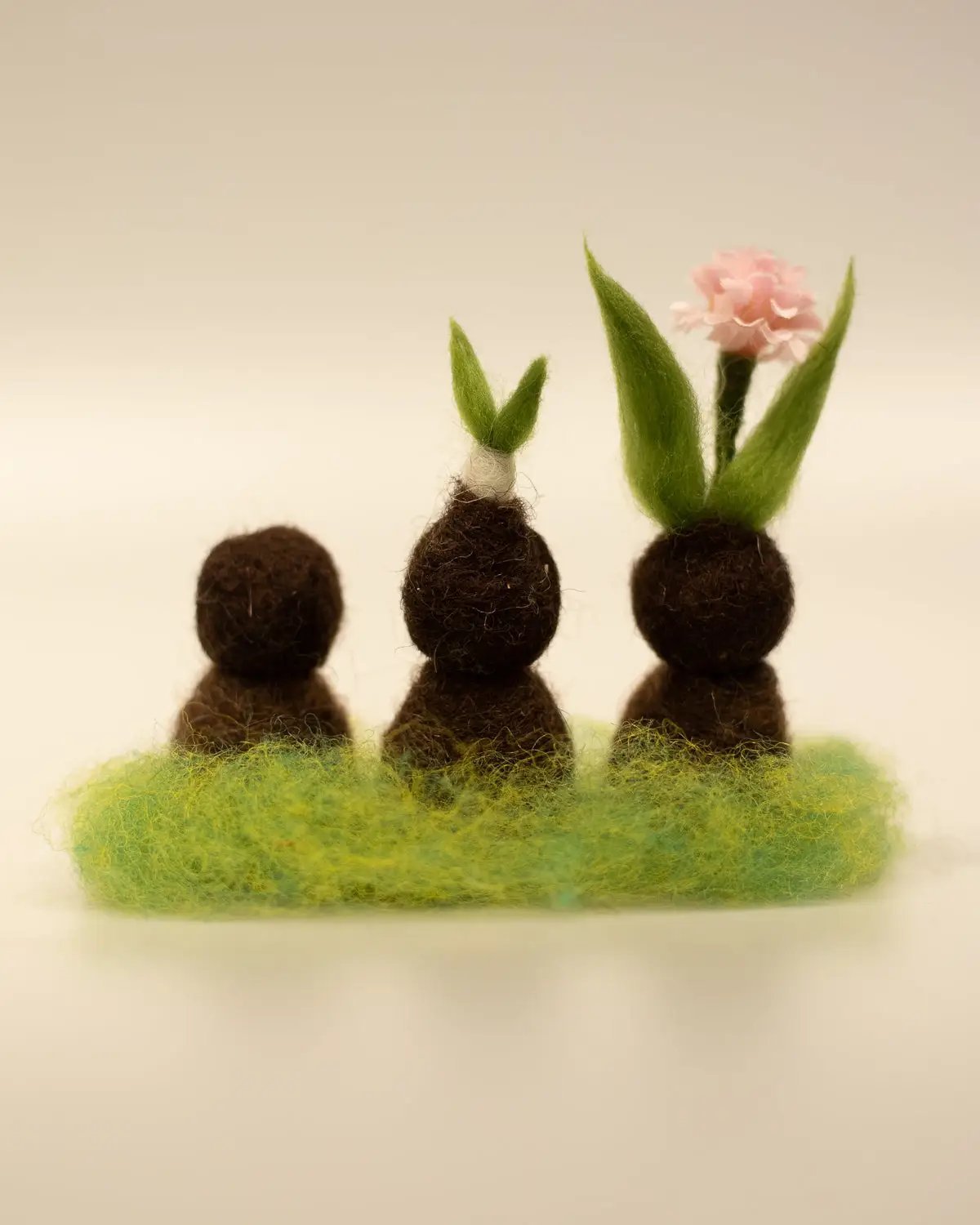 Set Kiemkindjes (3 in 1) | Fantastic Gifts Shop